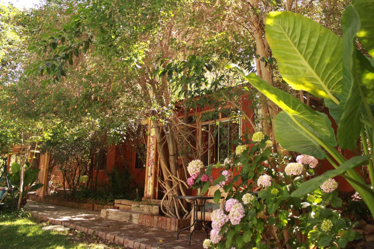 El Jardin Secreto-Pisco Elqui Aparthotel Exterior photo