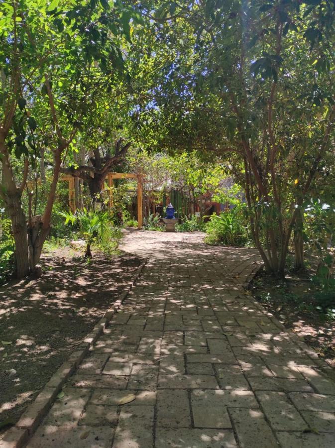 El Jardin Secreto-Pisco Elqui Aparthotel Exterior photo